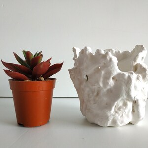 Set of two succulent planter. Handmade white plant pot. Small cactus planter pots. image 9