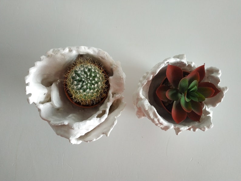 Set of two succulent planter. Handmade white plant pot. Small cactus planter pots. image 6