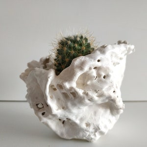Set of two succulent planter. Handmade white plant pot. Small cactus planter pots. image 8
