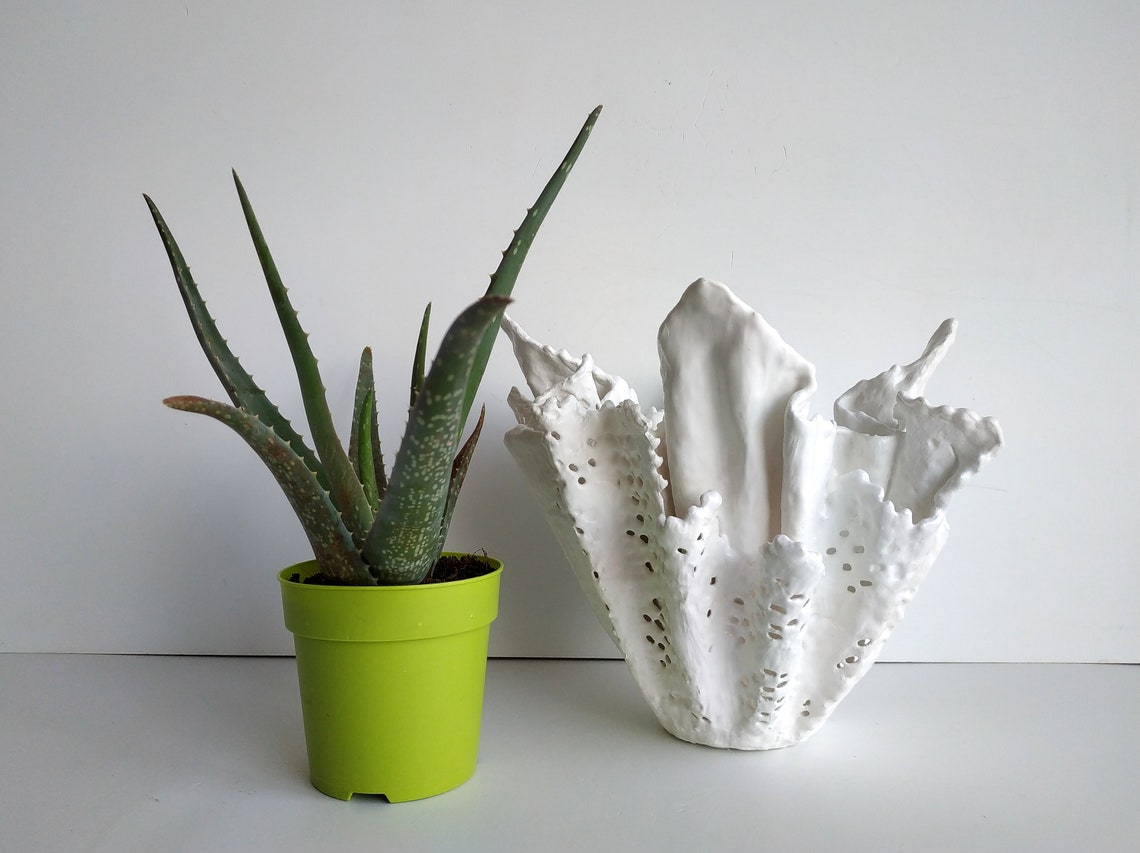 Handmade unique planter. Large aloe vera pot. Modern white Etsy