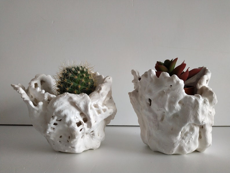 Set of two succulent planter. Handmade white plant pot. Small cactus planter pots. image 1