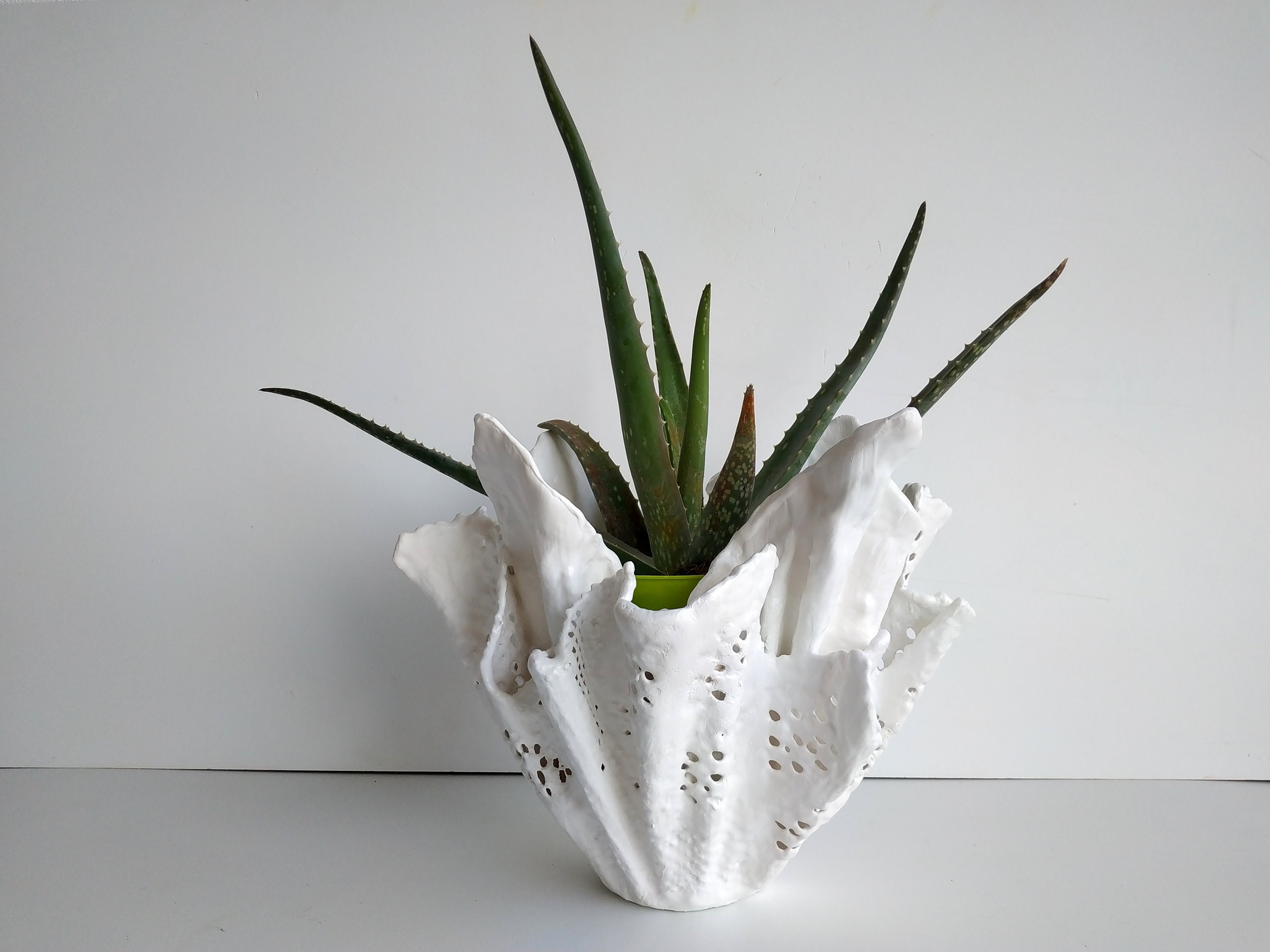 Handmade unique planter. Large aloe vera pot. Modern white Etsy