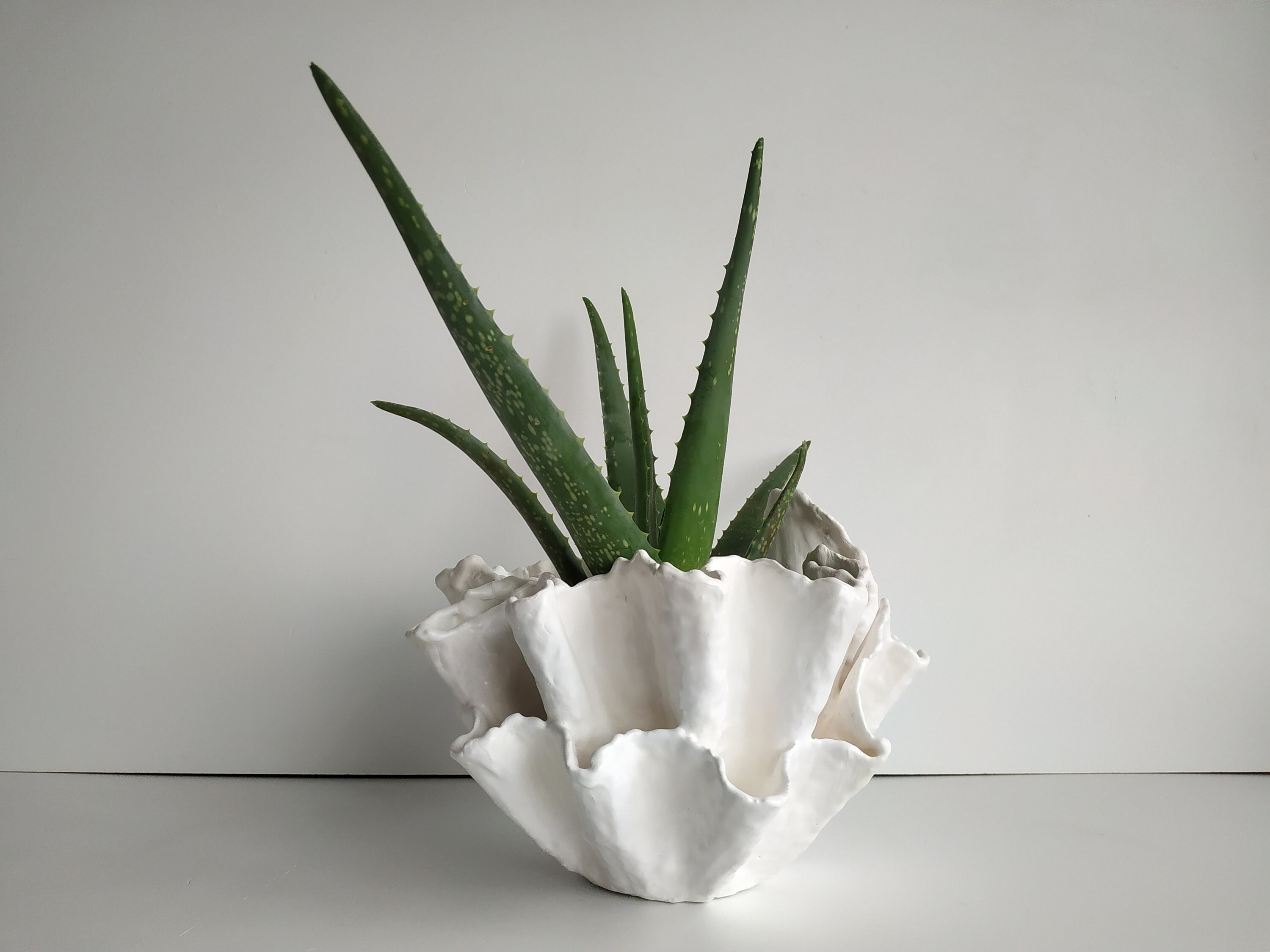 Handmade white planter. Large aloe vera plant. Modern ceramic Etsy