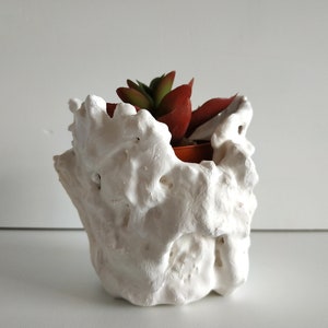 Set of two succulent planter. Handmade white plant pot. Small cactus planter pots. image 7