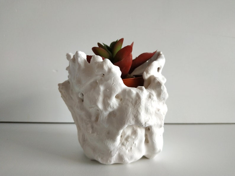 Set of two succulent planter. Handmade white plant pot. Small cactus planter pots. image 7