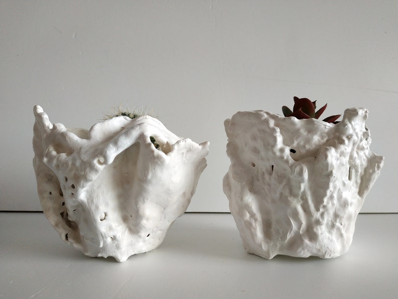 Set of two succulent planter. Handmade white plant pot. Small cactus planter pots. image 4