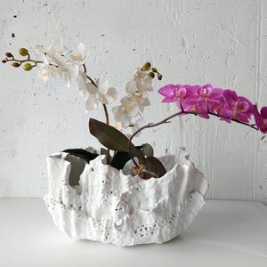 Może przedstawiać: Biała, teksturowana ceramiczna donica z białymi i fioletowymi orchideami. Donica ma organiczny kształt z szorstką, nierówną powierzchnią. Orchidee mają zielone łodygi i liście, dodając naturalnego kontrastu.