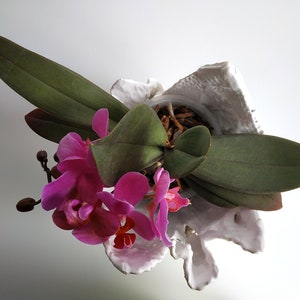Modern ceramic vase. Unique orchid pot. Handmade white planter. image 10