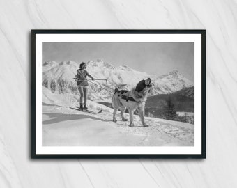 Femme à ski tirée par un Saint-Bernard