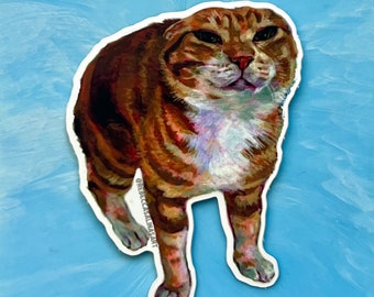 Oye Cat Sticker