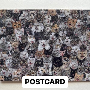 La cartolina del Coro, gatti, motivo a gatto, miagolio, teefies, molti, baffi, amante dei gatti, soffici, spaghetti amichevoli, arte di Rebecca Salinas