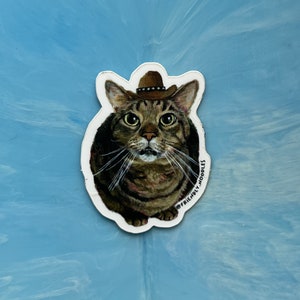 Adesivo Meowdy Atlas, chapéu de cowboy, gato malhado, fofo, darn tootin, estrelas, caipira, gato malhado marrom, miados do atlas, macarrões amigáveis