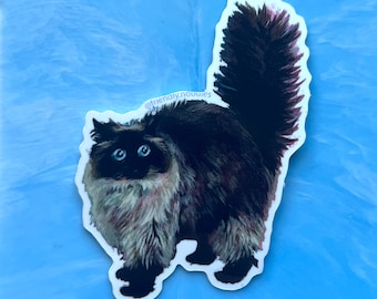 Noodle Zoomies sticker, vinyl, adhesive, friendly noodles, cute, fluffy cat, crab, poof tail, blurry, persian, himalayan, color point