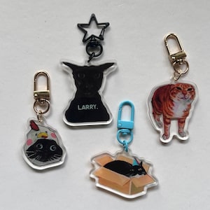 May include: Four acrylic keychains featuring cat illustrations: one black cat wearing a chicken hat, a black cat labeled LARRY with a star clasp, a black cat in a cardboard box with a blue clasp, and an orange tabby cat with a gold clasp.