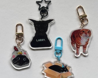Meme Cats 4-pack Keychains