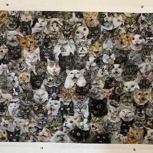 May include: A framed print featuring a collage of numerous cat faces. The cats display a variety of expressions, with open mouths and visible teeth. The cats' fur colors range from black and white to orange and gray.