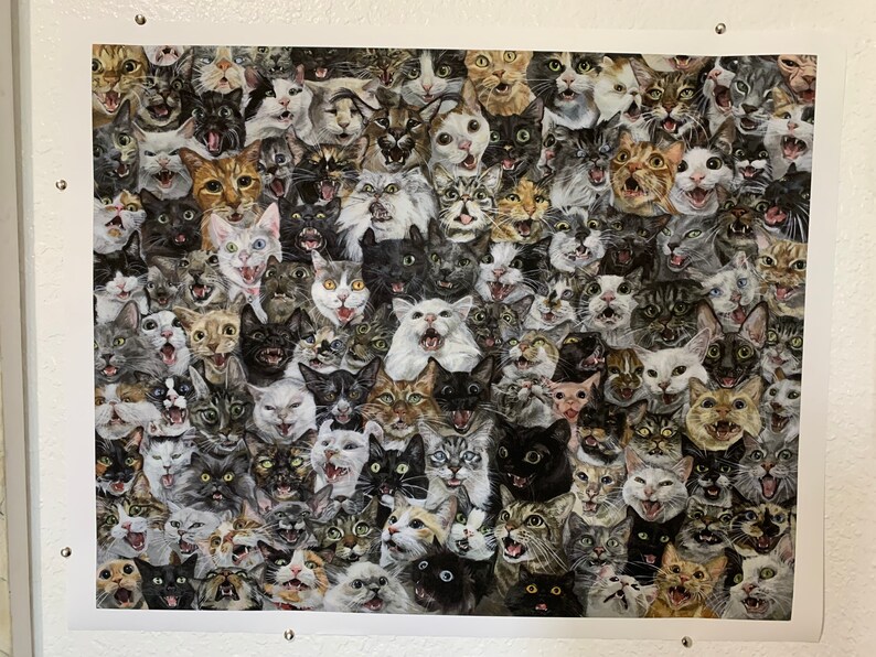 May include: A framed print featuring a collage of numerous cat faces. The cats display a variety of expressions, with open mouths and visible teeth. The cats' fur colors range from black and white to orange and gray.