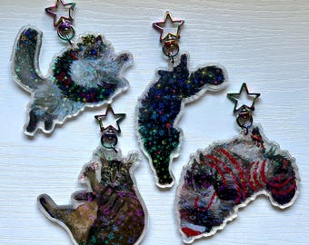 May include: Four iridescent cat charm keychains with star-shaped tops. Each charm features a different cat breed with a colorful, sparkly background.