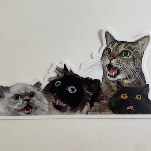 Sticker Miaouss chats, chant, chat noir, chat du vide, chat tigré, grands yeux, nouilles, nouilles, nouilles amicales, le refrain, miaou
