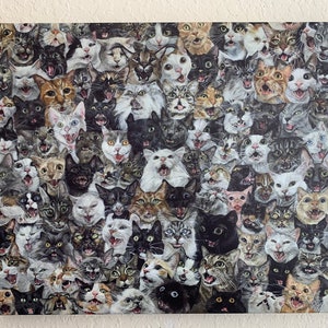 May include: A canvas print featuring a multitude of cat faces, each with a unique expression. The cats vary in color, including black, white, gray, and tabby patterns. The artwork creates a dense, textured appearance with a variety of open mouths and visible teeth.