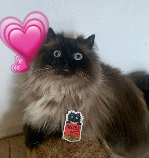 Noodle Cat Sticker, Red Ramen Cup, Noodles, Big Eyes, Existential