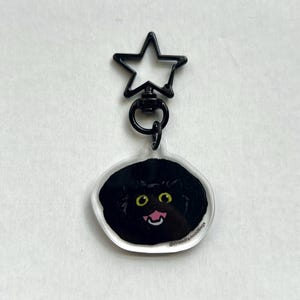 May include: A black cat keychain with a star-shaped clasp. The cat has yellow eyes and a pink tongue. The keychain is made of clear acrylic and has the text "@friendly.noodlings" printed on it.