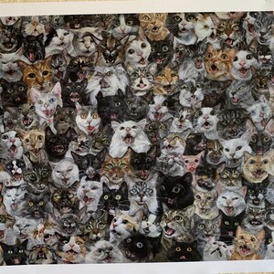May include: A collage of many cats with different coloured fur and patterns. The cats are all looking at the camera with their mouths open, as if they are meowing.