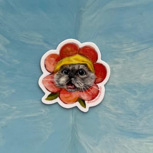 Haku Meow Flower sticker, klein, klein, pluizige kat, Perzisch, wit, brood, blauwe punt, vriendelijke noedels, roze, maagdenpalm