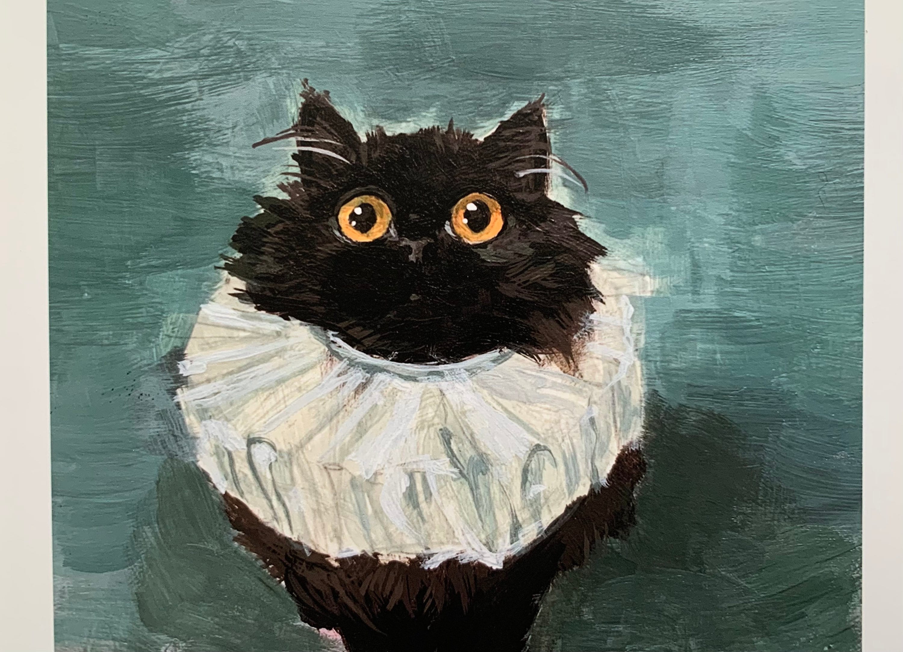 Squid as Kevin Print Cute Cat Kitten Black Cat Elizabethan - Etsy