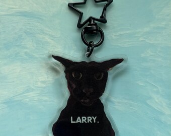 Meme Cat Keychain