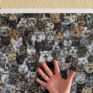 May include: A poster featuring a close-up of dozens of cats' faces, all with their mouths open as if meowing. The cats are of various breeds and colours, and the background is a dark, mottled pattern.