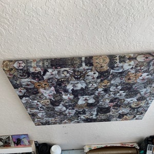May include: A rectangular canvas print featuring a collage of cat faces in various colors and expressions. The cats' faces are a mix of gray, brown, white, and black, creating a busy and detailed pattern. The print is mounted on a white ceiling.