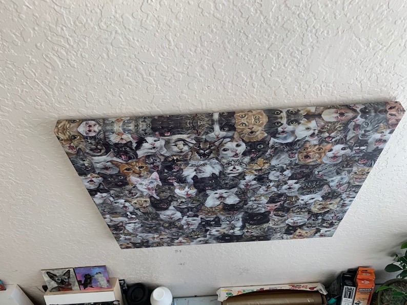 May include: A rectangular canvas print featuring a collage of cat faces in various colors and expressions. The cats' faces are a mix of gray, brown, white, and black, creating a busy and detailed pattern. The print is mounted on a white ceiling.