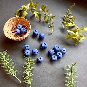 Polymer Clay Beads, Blue Clay Beads, Berry Beads, Blueberry Beads, Summer Beads, Sweet Beads, Blue Berry Beads, Fruits Beads, Handmade Beads