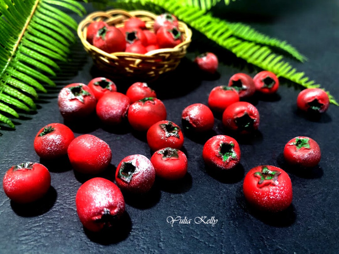 Polymer Clay Beads, Rose Hip Berry Clay Beads, Berry Beads, Wild Berry  Beads, Summer Beads, Sweet Beads, Red Berry Beads, Handmade Berry 