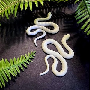 May include: Two white ceramic snake sculptures on a dark background with green fern leaves. The snakes are curled in a natural pose. The text "By Yulia Kelly" is visible at the bottom of the image.