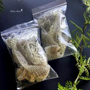 Remise en peau de serpent naturelle pour travaux manuels, peau de serpent pour sorcellerie, remise en forme de reptile, fournitures de sorcellerie, peau de serpent magique, outils pour animaux spirituels