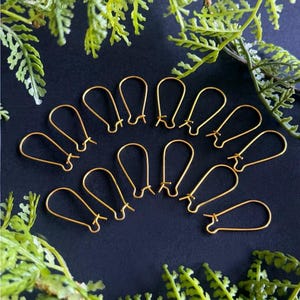 Puede incluir: Una colección de ganchos dorados para pendientes dispuestos sobre una superficie azul oscuro, rodeados de follaje verde en forma de helecho. Los ganchos tienen forma de lágrima, con un pequeño lazo en la parte inferior para sujetar los pendientes.