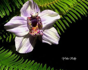 Handmade Clay White Orchid Flower, Jewelry Making For Floral Designs