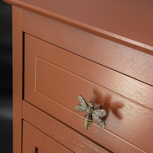 May include: Close-up of a section of a brown wooden cabinet with a decorative brass dragonfly drawer pull. The cabinet has a simple design with horizontal drawer fronts.