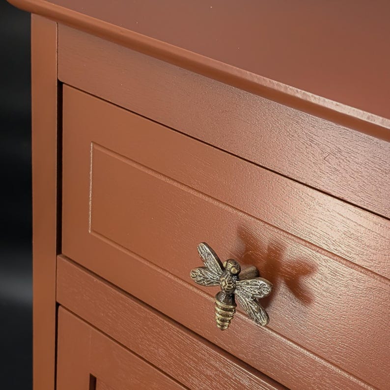 May include: Close-up of a section of a brown wooden cabinet with a decorative brass dragonfly drawer pull. The cabinet has a simple design with horizontal drawer fronts.