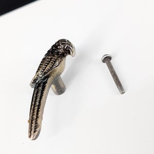 May include: A decorative parrot-shaped cabinet knob in a bronze finish. The knob is detailed with textured feathers and a curved beak. A matching screw is included for installation. Ideal for adding a unique touch to furniture.