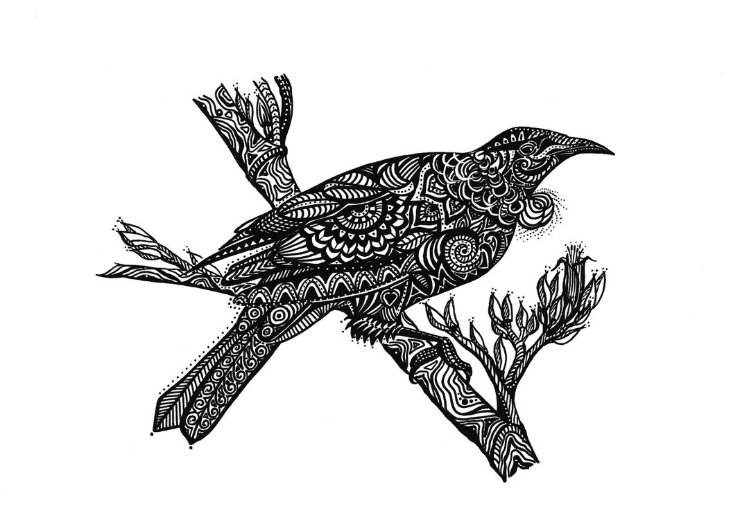 Art Print of My Original Drawing of a Native New Zealand Bird Etsy
