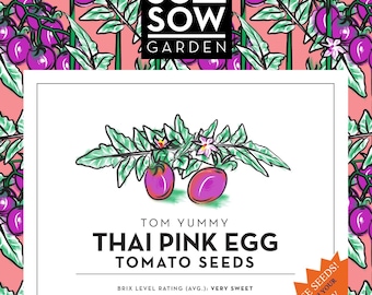 Thai Pink Egg 20 Organic Tomato Seeds: High Germination Rate, Free Seeds Included