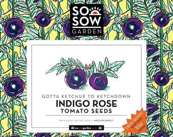 Indigo Rose Seeds - 20 Tomato Seeds - Organic Tomato Seeds - 100% Genuine Guaranteed - High Germination Rate - Free Seeds
