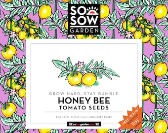 Honey Bee Seeds - 20 Tomato Seeds - Organic Tomato Seeds - 100% Genuine Guaranteed - High Germination Rate - Free Seeds