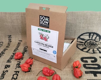 Grow Your Own Chilli Peppers - Chilli Grow kit - Carolina Reaper Peppers - Chili Seeds