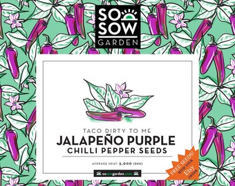 Jalapeno Purple Seeds - 20 Chilli Pepper Seeds - Organic Chili Seeds - 100% Genuine Guaranteed - High Germination Rate - Free Seeds