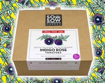 Grow Your Own Tomatoes - Tomato Grow kit - Indigo Rose Tomatoes - Tomato Seeds