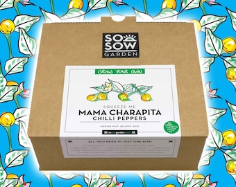Grow Your Own Chilli Peppers - Chilli Grow kit - Mama Charapita Peppers - Chili Seeds - South Amarican Cuisine - Aji Charapita